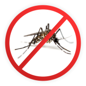 Undvik insektsbett Insektsbett